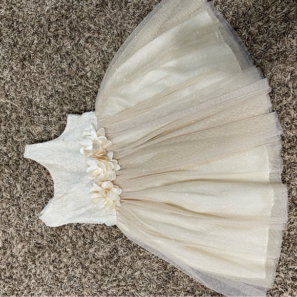 Youngland Girls tulle and gold dress size 3t - Picture 2 of 11